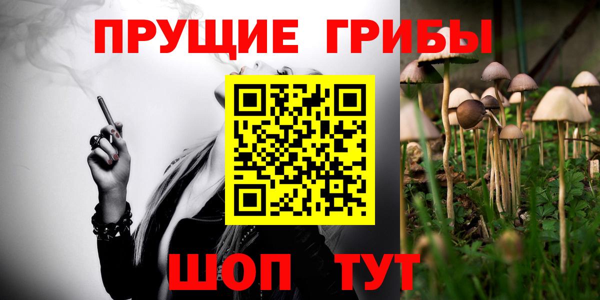 Галлюциногенные грибы Psilocybine cubensis  Вход с VPN  цены   Псилоцибиновые грибы прущие грибы  Кохма 