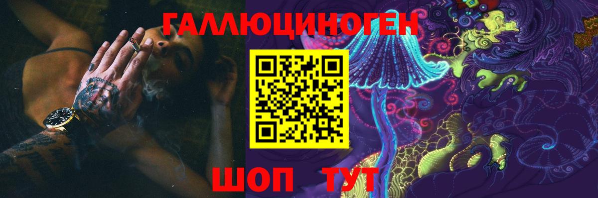 Псилоцибиновые грибы Psilocybe Кохма
